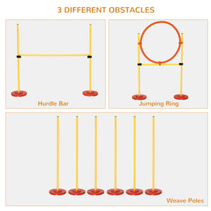 Portable dog agility training obstacle set