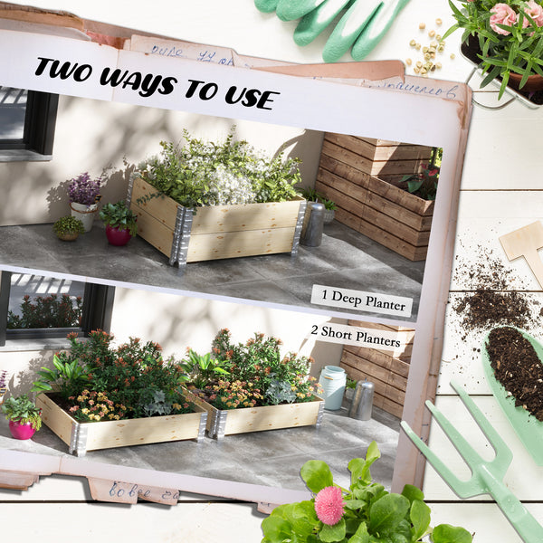 Raised wooden planter with two compartments