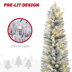 5ft Pre-Lit Frosted Green Artificial Christmas Tree with Warm White LED Light