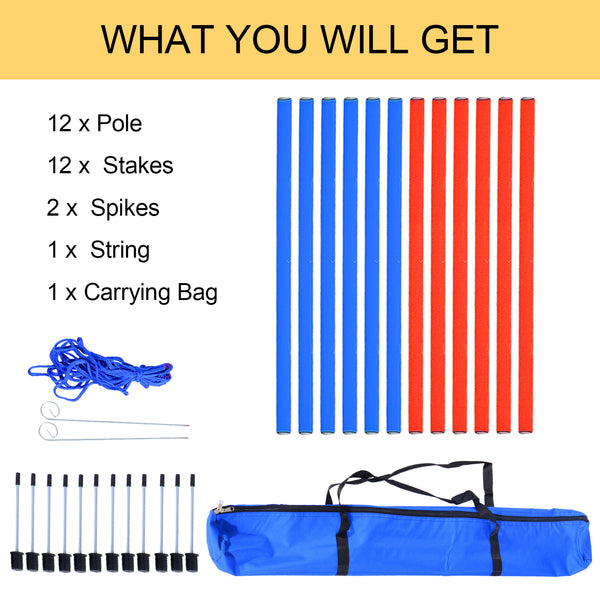 Dog Agility Equipment Set