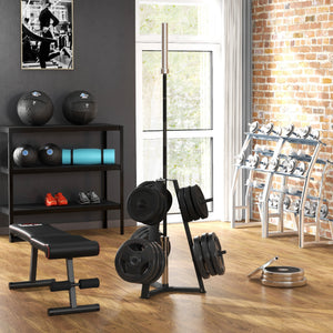 Gym Organizer with Rack for Discs and Dumbbells