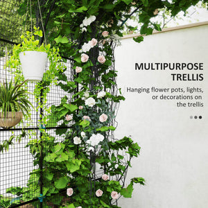 Galvanized raised planters with arched trellis