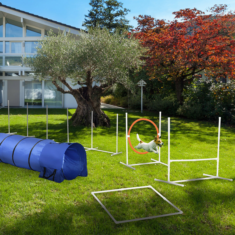 5 Piece Dog Agility Training Kit