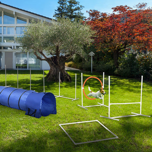 5 Piece Dog Agility Training Kit
