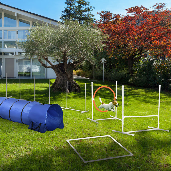 5 Piece Dog Agility Training Kit