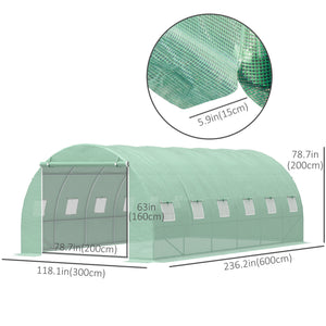 Green garden tunnel greenhouse with windows and door