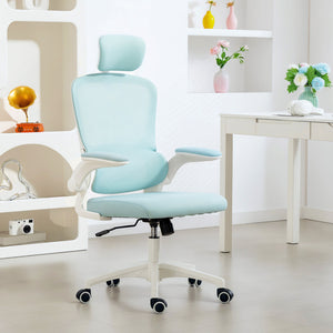 Ergonomic mesh office chair with lumbar support, blue/green