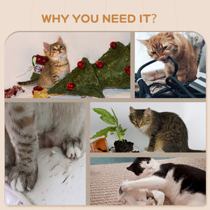 Wall-mounted cat shelves with steps, scratching posts, ladder, platforms and balls