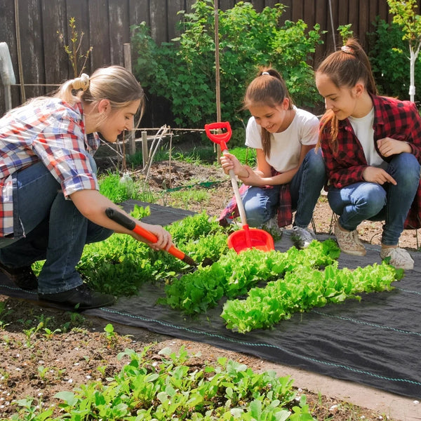 Weed control fabric 2m x 50m