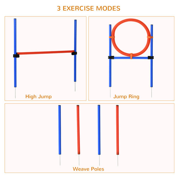 Dog Agility Training Kit