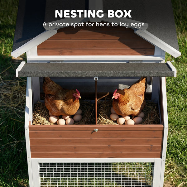 Wooden chicken coop with run, removable tray, nest box and waterproof asphalt roof