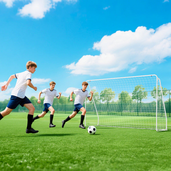 3 x 1.2 m soccer goal, white