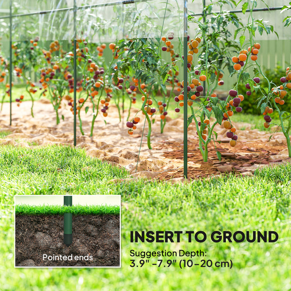 Tomato tunnel greenhouse with 4 hoops
