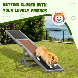 Wooden seesaw for dogs