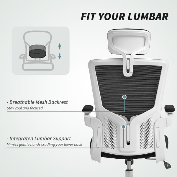 Ergonomic office chair with lumbar support and headrest, black