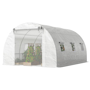 White heated tunnel greenhouse for plants with support bars
