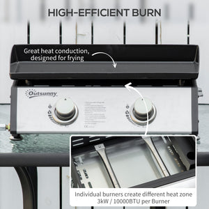 2-burner gas barbecue, silver