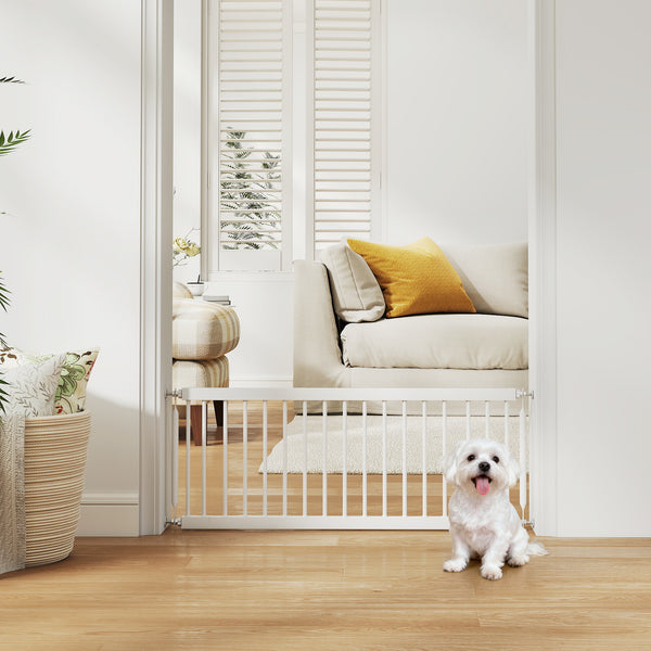 Dog gate, white