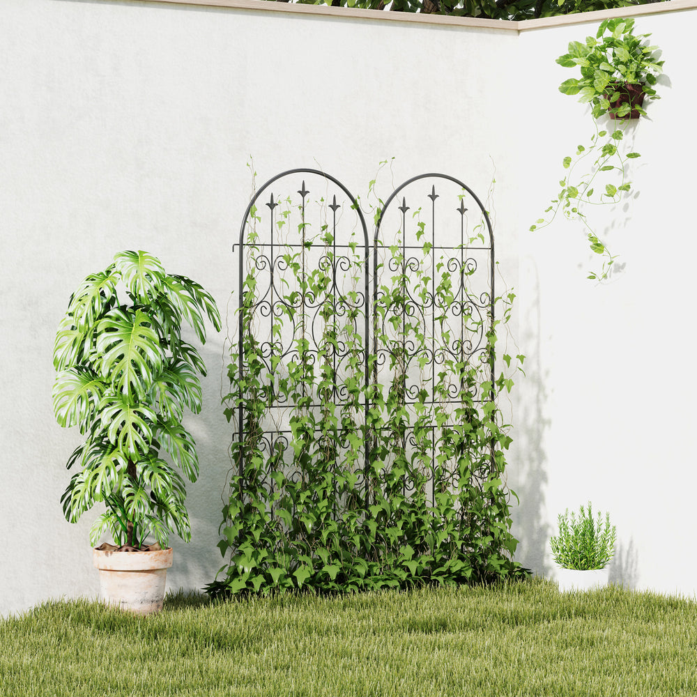 Set of 2 metal garden trellises, black
