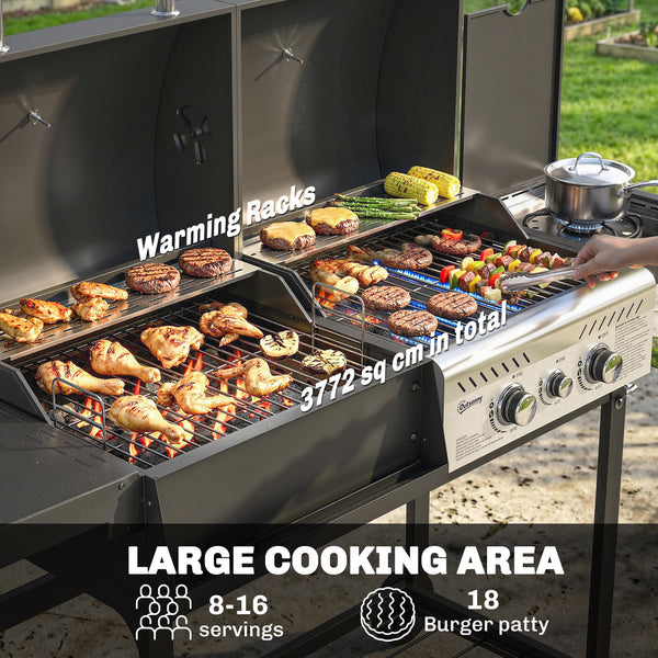 Dual fuel BBQ, charcoal and gas burners, black