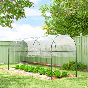 Tomato tunnel greenhouse with 4 hoops