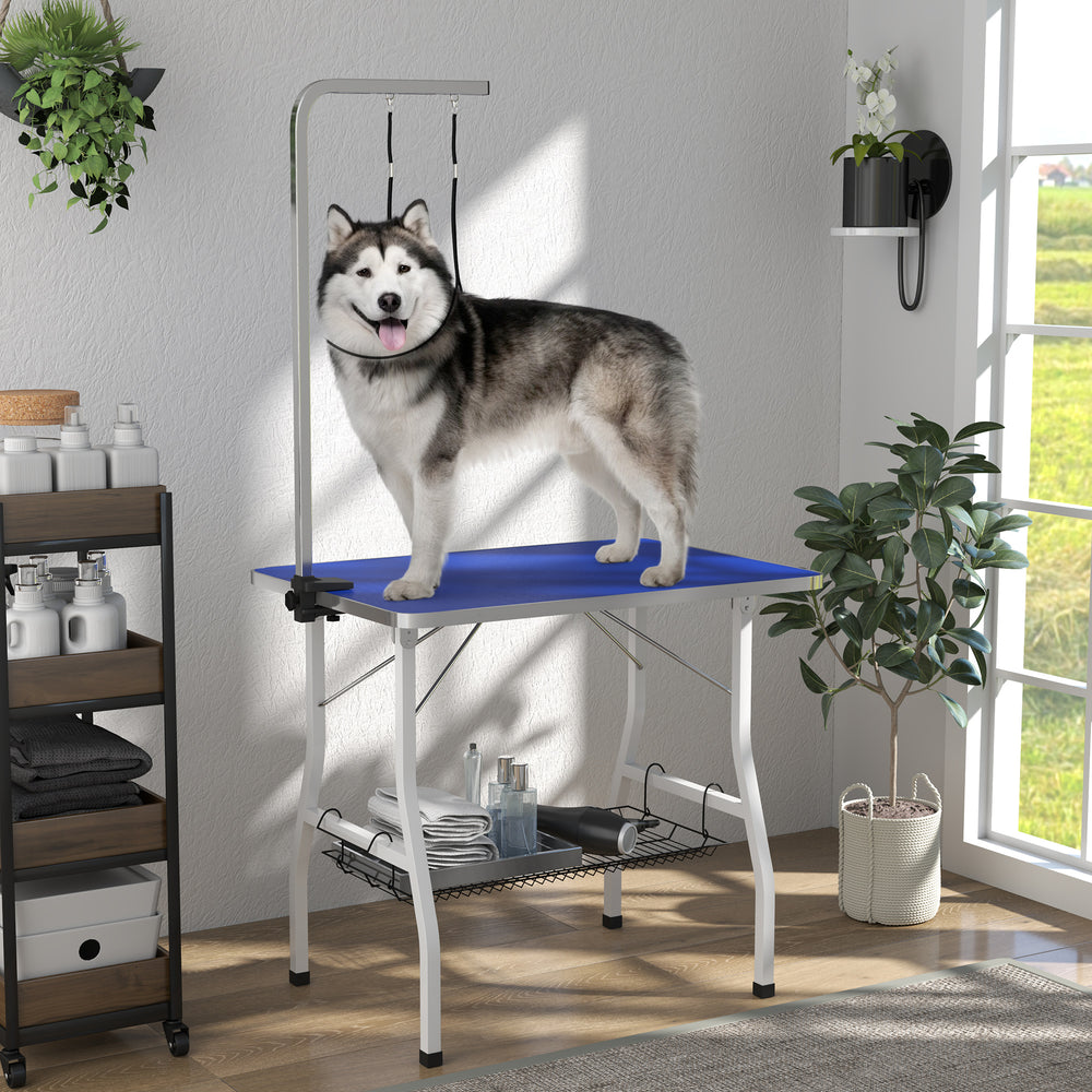 Dog grooming table with adjustable arm, mesh tray and two leashes, blue