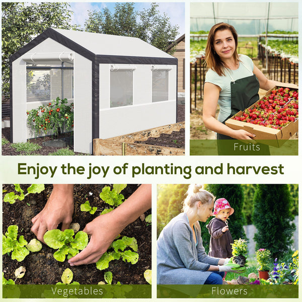 Sturdy garden greenhouse for vegetable seedlings