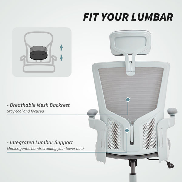 Ergonomic office chair with lumbar support and headrest, grey