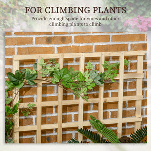 Raised wooden planter with trellis