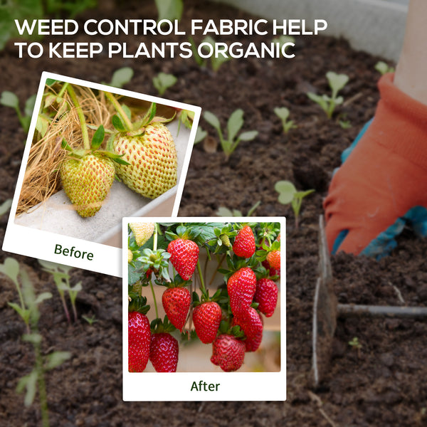Weed control fabric 2m x 50m