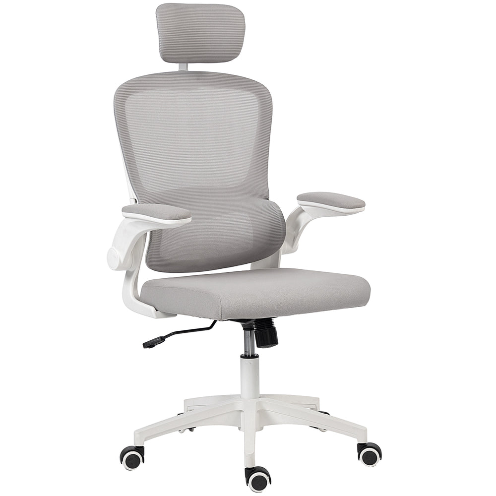Ergonomic mesh office chair with lumbar support, grey