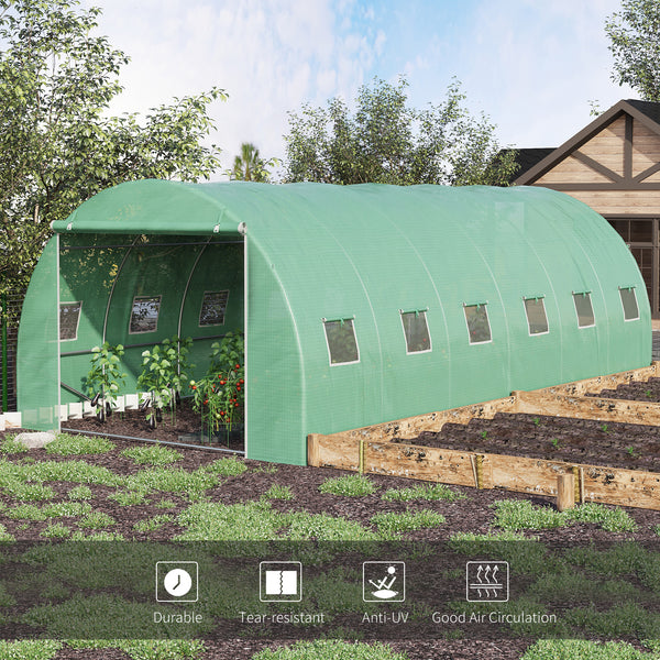 Green garden tunnel greenhouse with windows and door