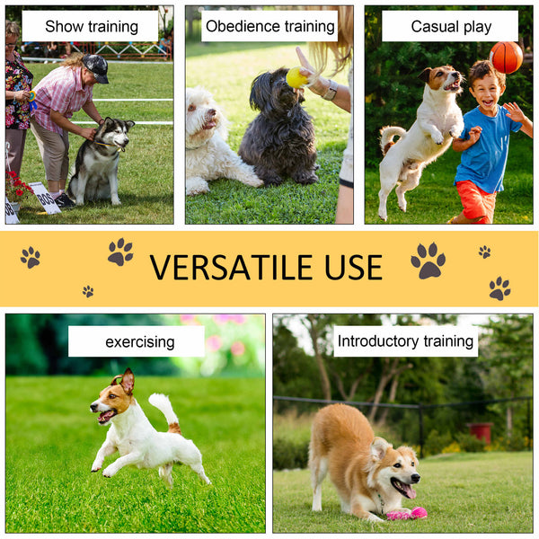 Dog Agility Equipment Set