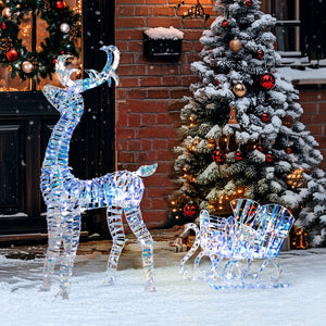 Illuminated Christmas reindeer with sleigh
