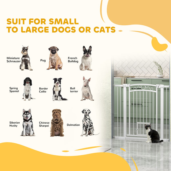 Dog gate with small door