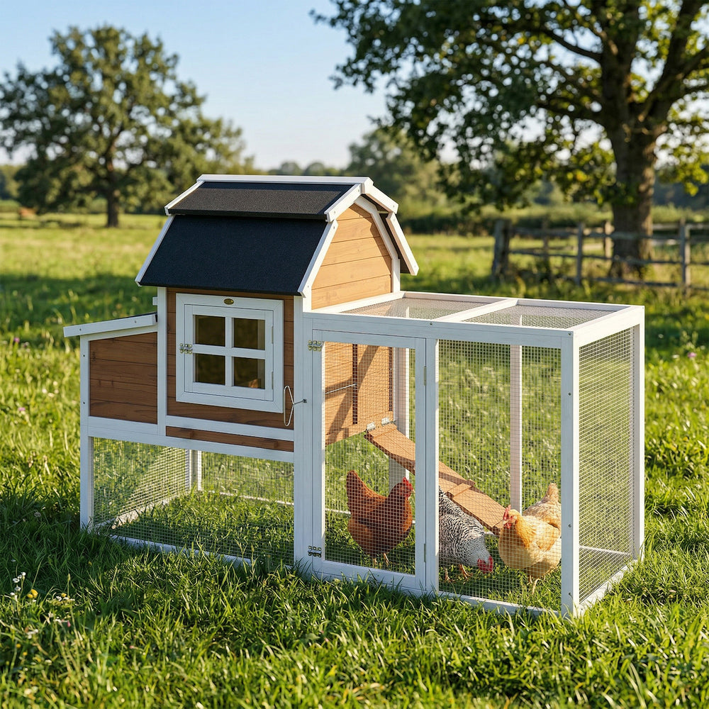 Wooden chicken coop with run, removable tray, nest box and waterproof asphalt roof