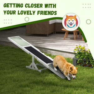 White wooden dog swing