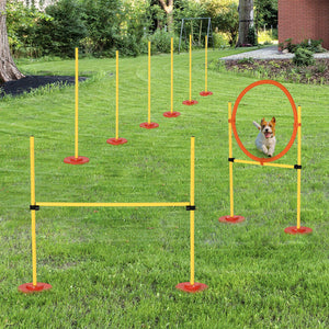 Portable dog agility training obstacle set
