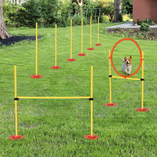 Portable dog agility training obstacle set