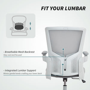 Ergonomic office chair with lumbar support, grey