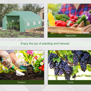 Walk-in greenhouse with premium steel frame