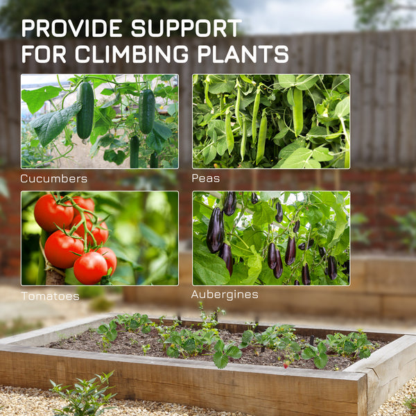 Metal trellis with netting for cucumbers and other climbing plants