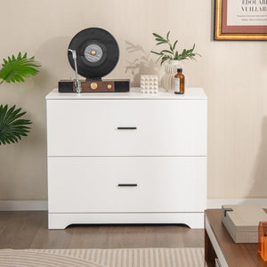 2-Drawer Lateral Filing Cabinet with Adjustable Bars for Home and Office - White
