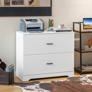 2-Drawer Lateral Filing Cabinet with Adjustable Bars for Home and Office - White