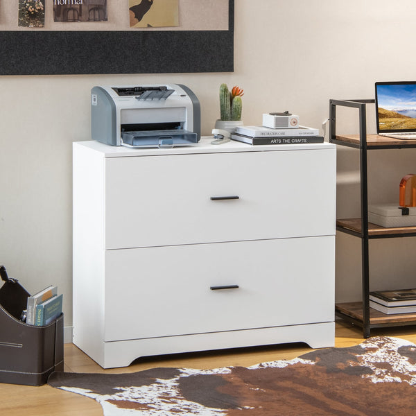 2-Drawer Lateral Filing Cabinet with Adjustable Bars for Home and Office - White