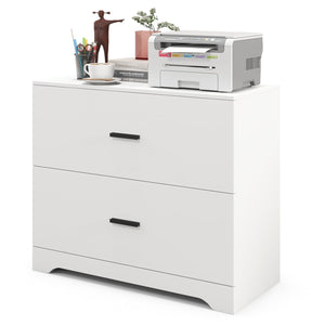 2-Drawer Lateral Filing Cabinet with Adjustable Bars for Home and Office - White