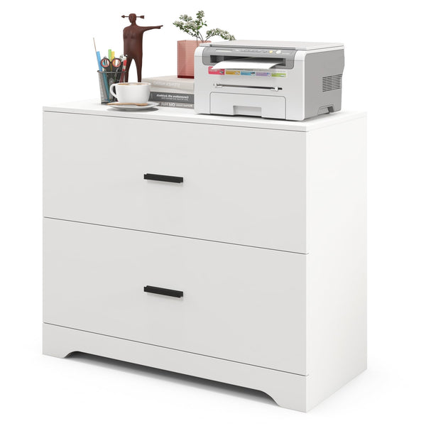 2-Drawer Lateral Filing Cabinet with Adjustable Bars for Home and Office - White