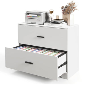 2-Drawer Lateral Filing Cabinet with Adjustable Bars for Home and Office - White
