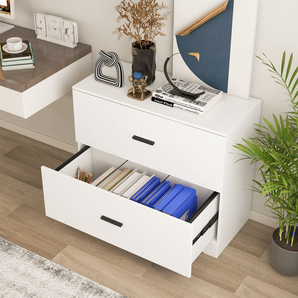 2-Drawer Lateral Filing Cabinet with Adjustable Bars for Home and Office - White