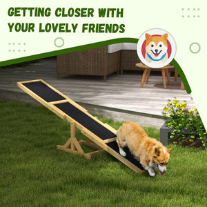 Wooden seesaw for dogs